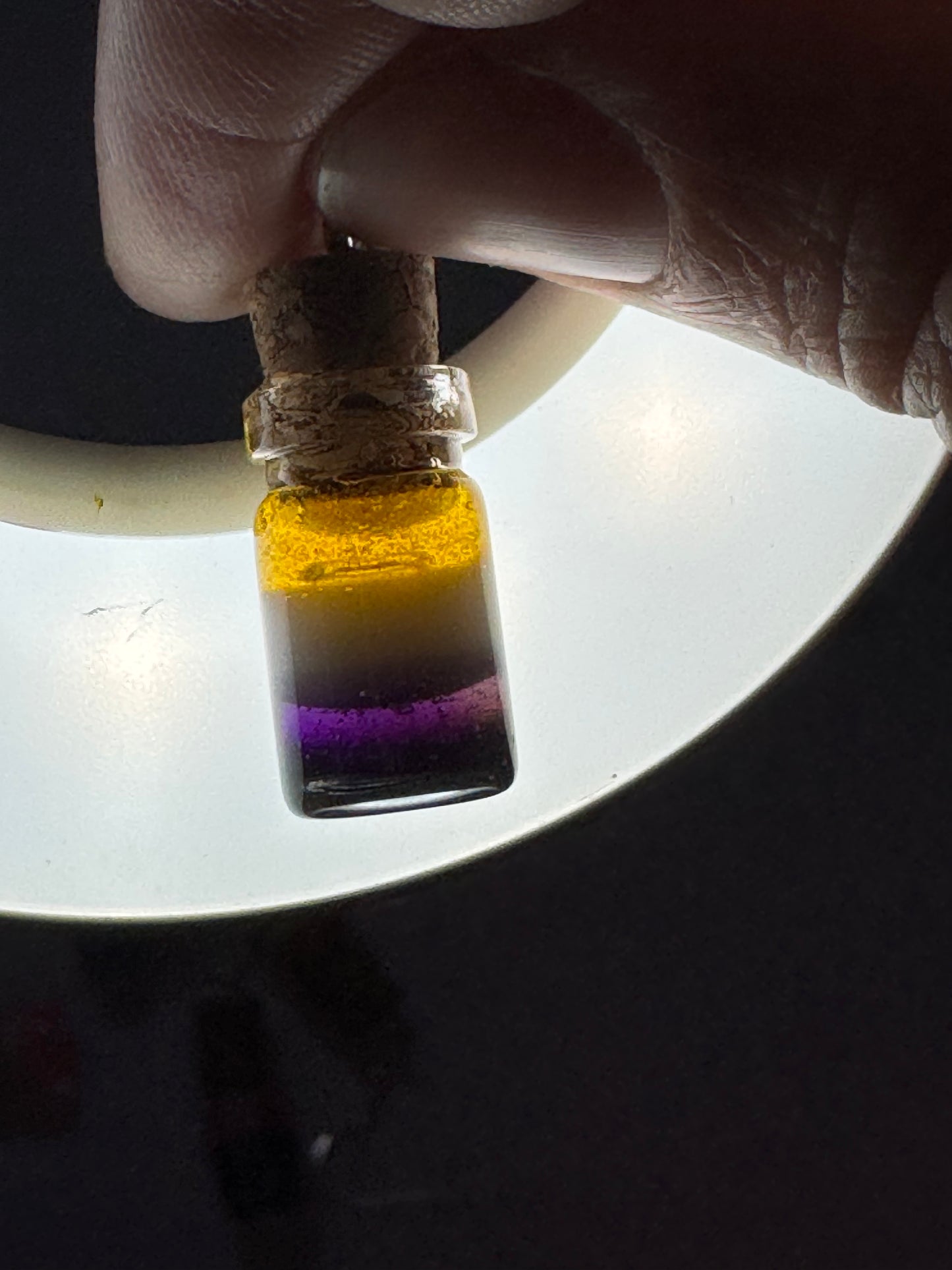 Made to Order - Pride Flag Potion Bottles - Fish Hook Earrings